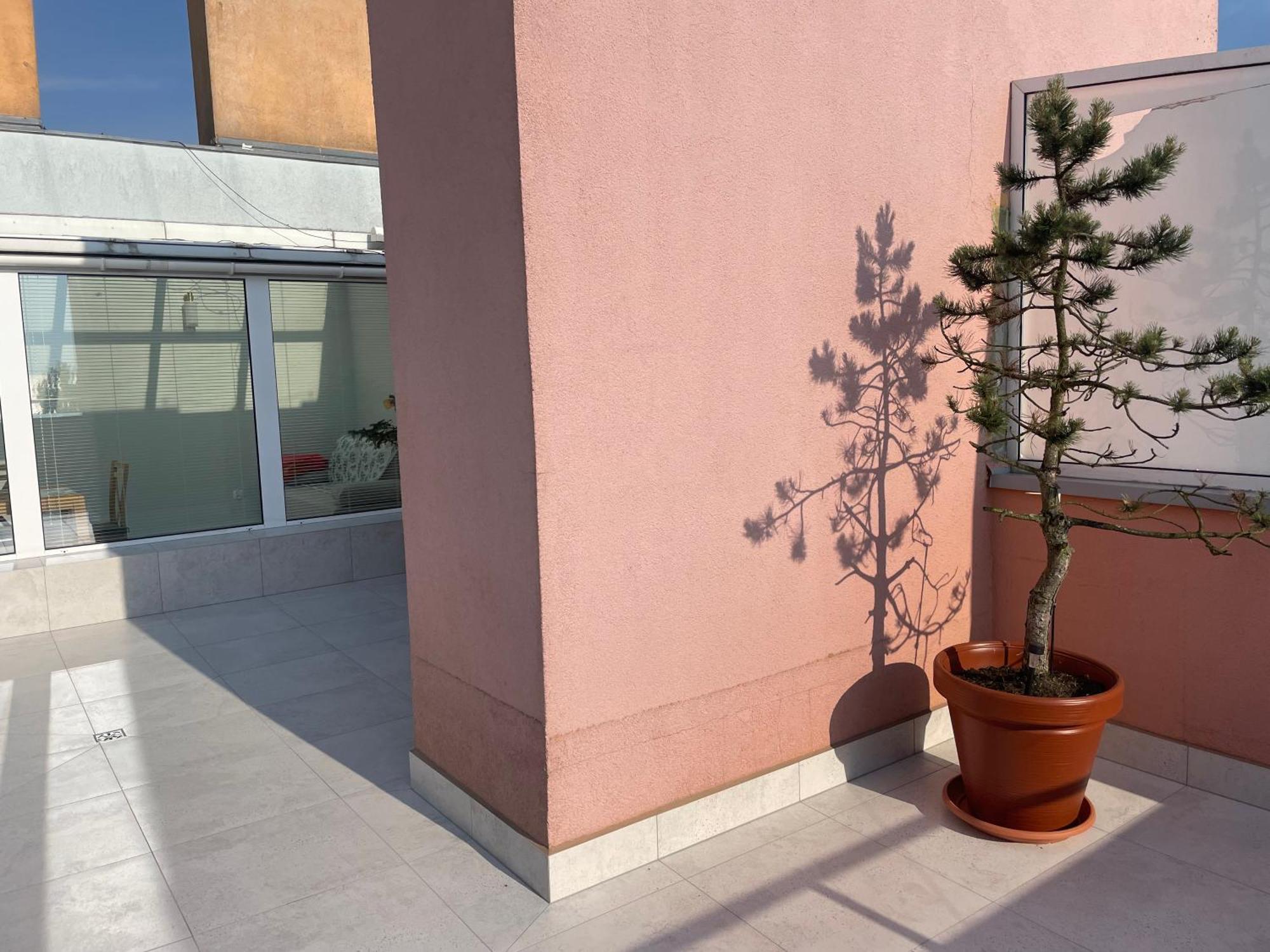 Wolin-Travel Fala Apartamenty Z Widokiem Na Morze Miedzyzdroje Exterior foto